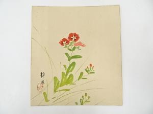 静波筆　撫子図　肉筆色紙